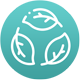 Iconos EVOLVE Productos orgánicos biodegradables